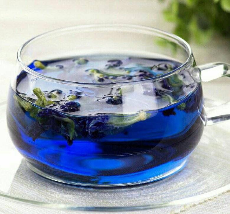 Тайский синий чай Анчан: полезные свойства, секреты заваривания