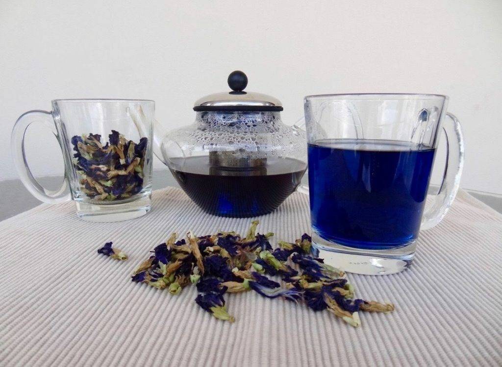Эффективен ли пурпурный чай чанг шу для похудения – отзывы потребителей и врачей
