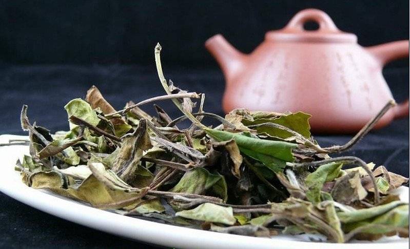 Алтей лекарственный. чай – великий целитель. сорта и их лечебные свойства, профилактика заболеваний. травяные чаи, лечебные свойства...