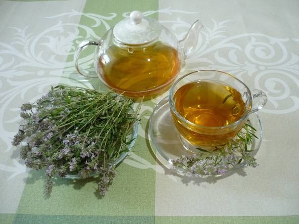 Травяные чаи: лучшие рецепты на все случаи жизни | огородники