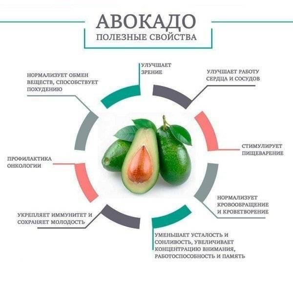 Авокадо — 10 полезных свойств для красоты и здоровья