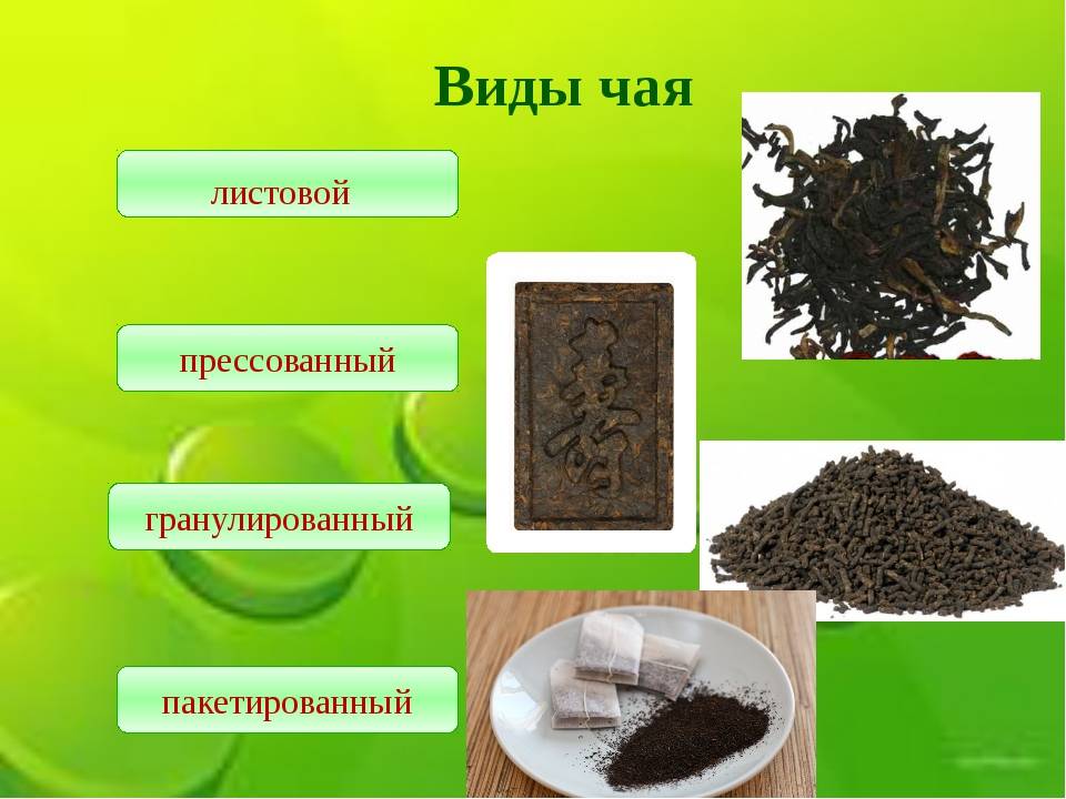 Зеленый чай, чем отличается от черного, как выбрать