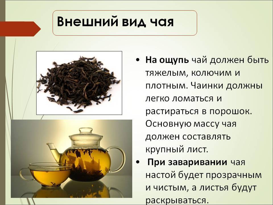 Чай с лотосом: полезные свойства, как заваривать