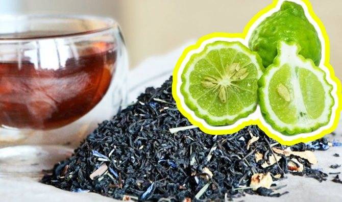 Чай с бергамотом: польза и вред. что нужно знать?