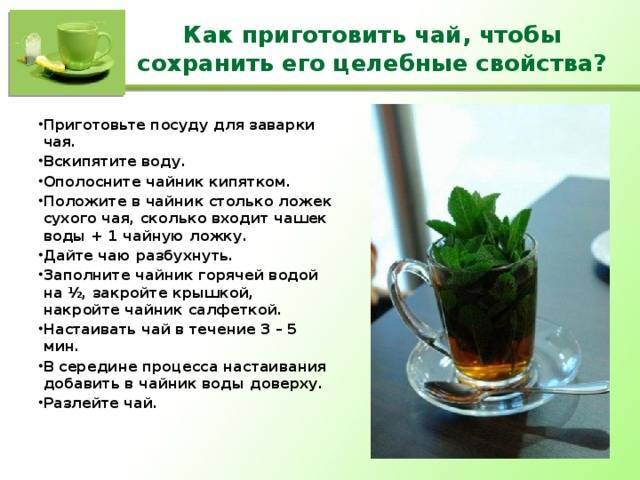 Чай из листьев амаранта полезные свойства