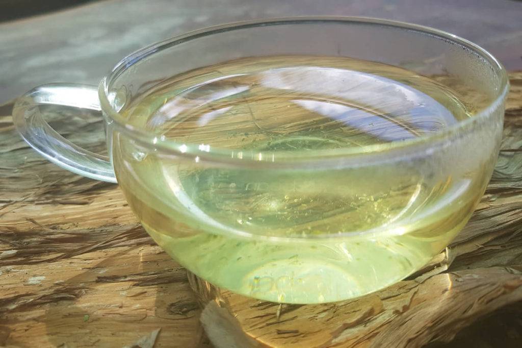 Чай с лимонником: польза и вред ,как правильно заваривать