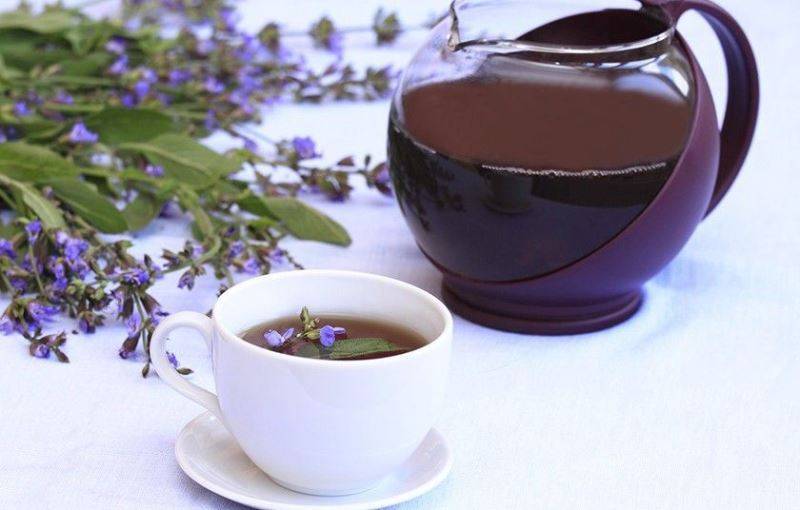 Чай из шалфея: польза и вред, как пить и заваривать