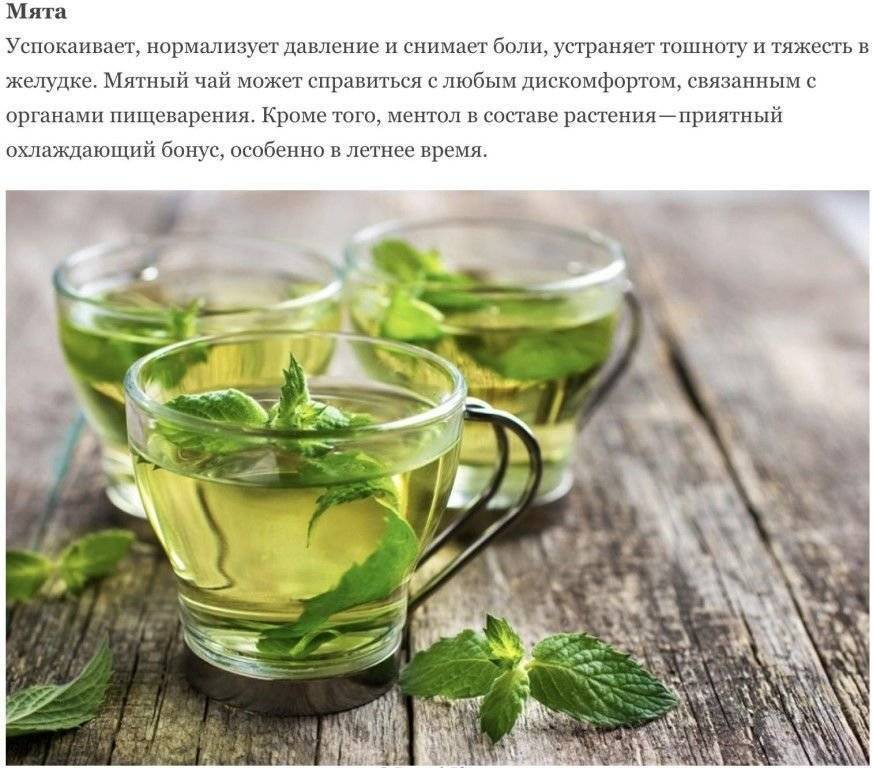 Эффективные чаи для похудения: травяные очищающие, мочегонные