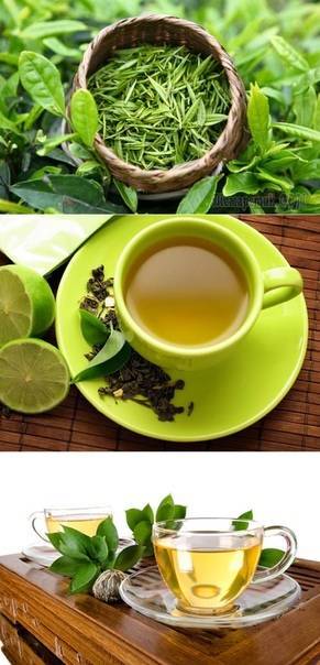 Зеленый чай для мужчины: огромная польза и непоправимый ущерб