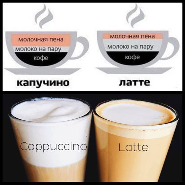 Чем отличается латте от капучино: разница между видами кофе | playboy