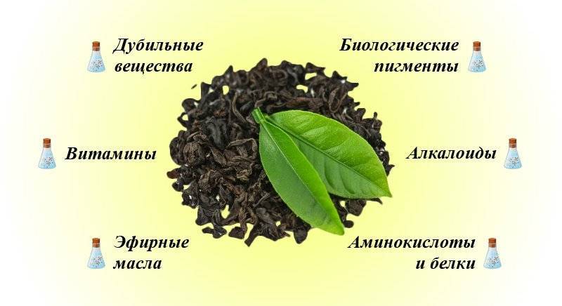 Чай чёрный — химический состав, пищевая ценность, бжу