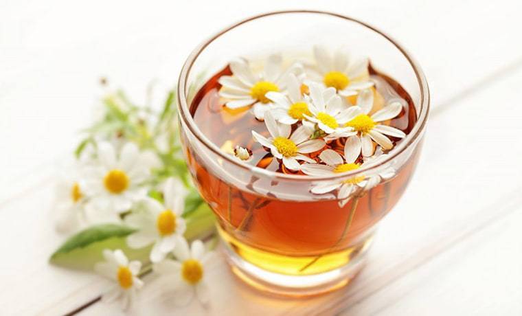 Ромашковый чай - польза и вред для организма мужчины и женщины. полезные свойства и противопоказания