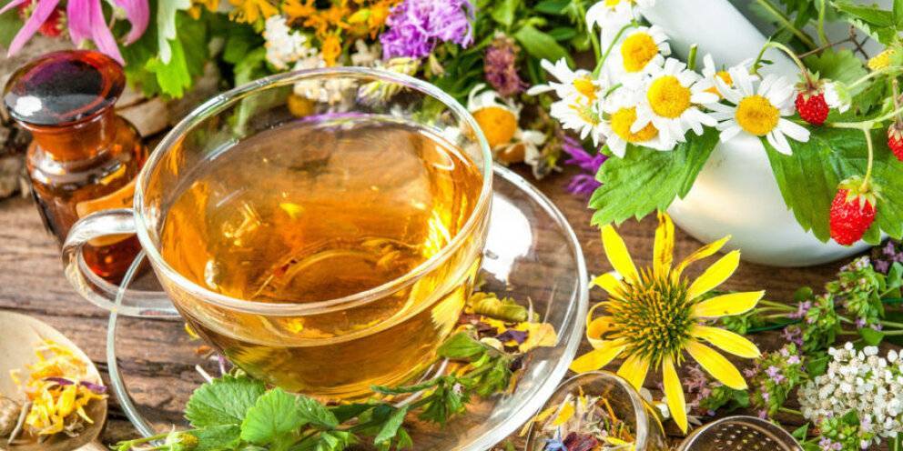 Витаминный чай, полезные сборы для чая из трав