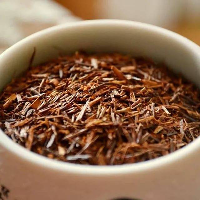 Ханибуш чай - вкусовые качества, полезные свойства, заваривание