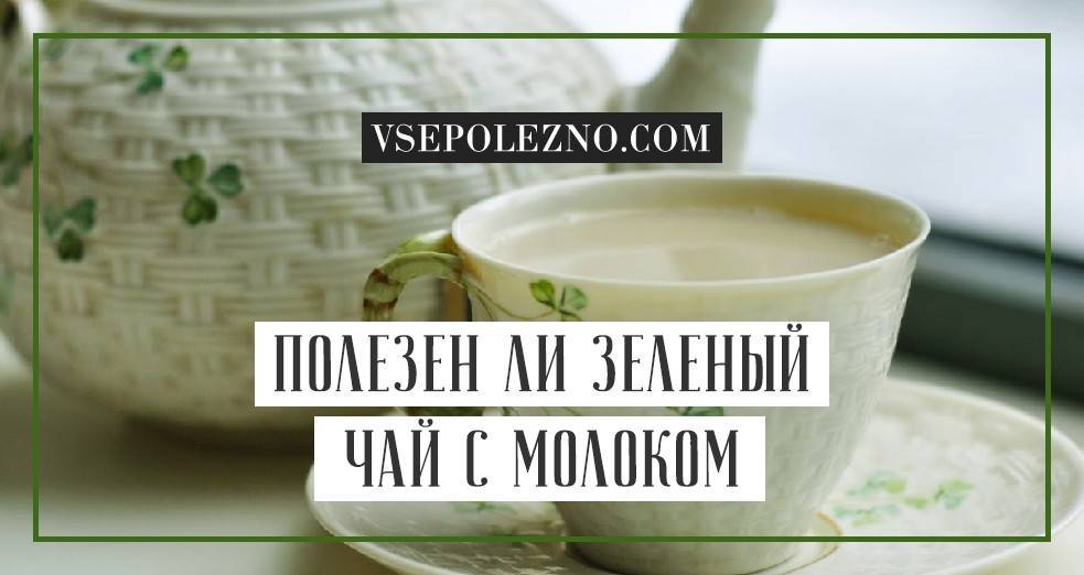 Чай с молоком: чем полезен, можно ли пить, как приготовить