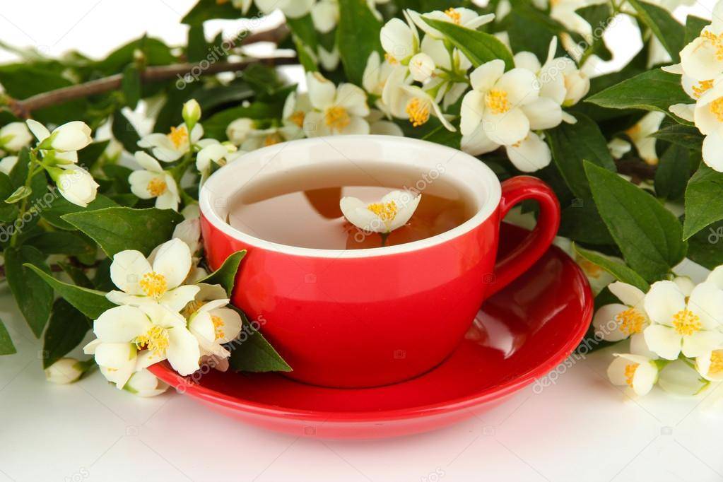 Жасминовый чай: неповторимый аромат