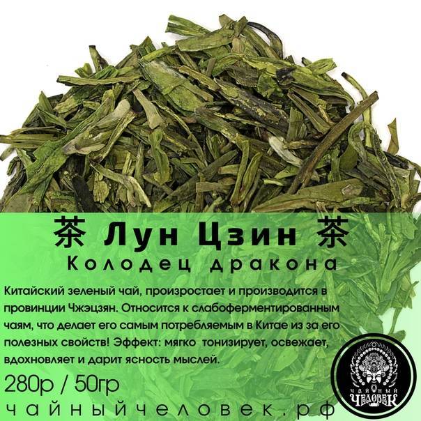 Полезные свойства чая лунцзин (колодец дракона) и его разновидности