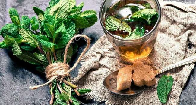 Польза марокканской мяты, приготовление чая из нее