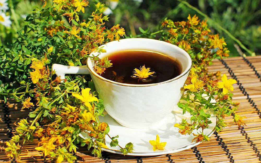 Как заварить зверобой для чая, польза и вред, как пить, травяные сборы