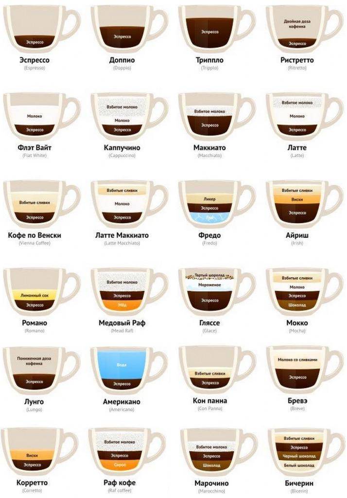 Все, что нужно знать о кофе ценителям и тем, кто только пристрастился к этому напитку — staff-online