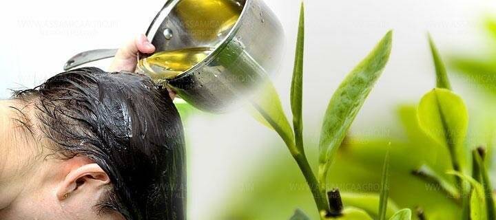 Как использовать зеленый чай для волос
