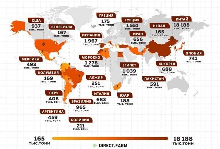 Рейтинг стран лидеров мира по производству, потреблению, экспорту и импорту риса