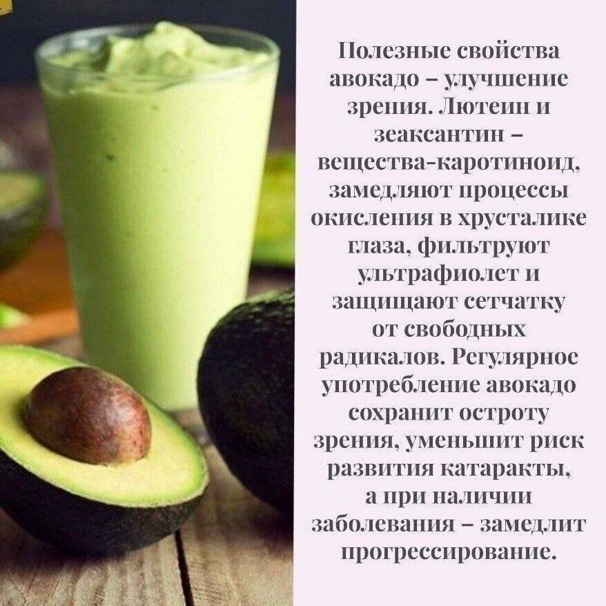 Что делать с авокадо: полезные свойства, рецепты вкусных блюд - gkd.ru