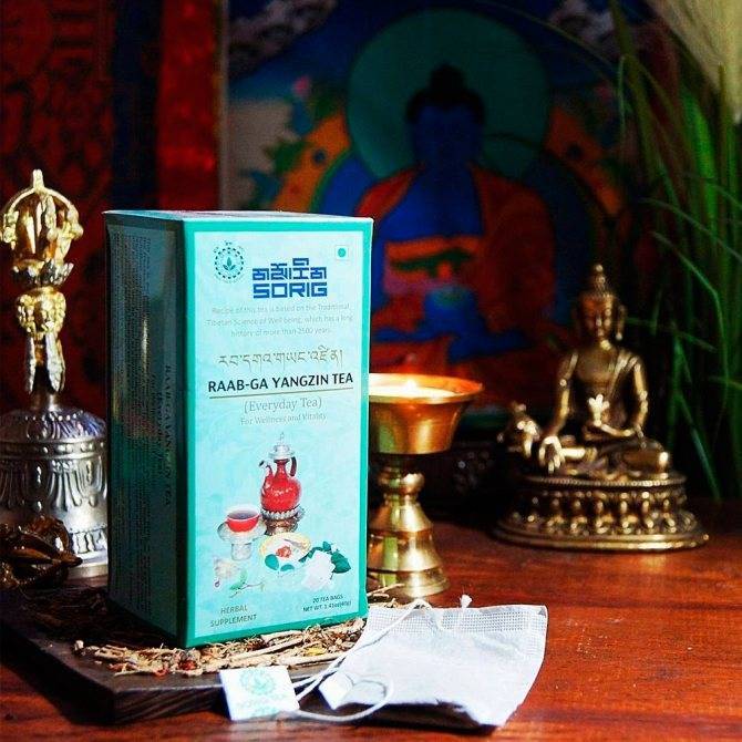 Тибетский чай: польза и вред, очищающие свойства, заваривание