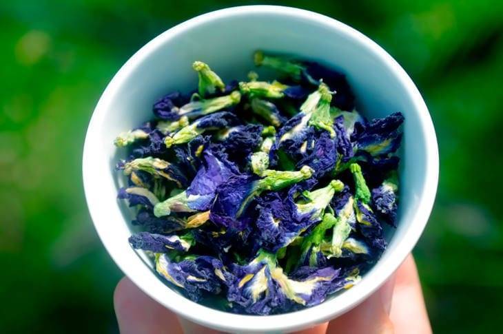 Пурпурный чай для похудения - как принимать и правильно заваривать