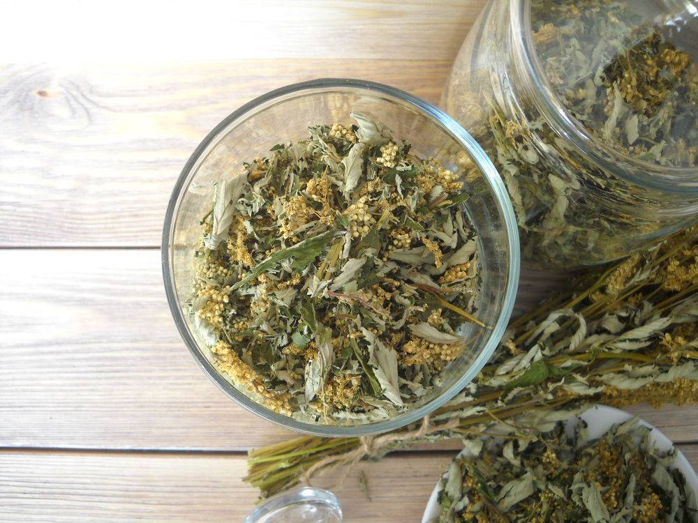 Лабазник — лечебные свойства и противопоказания, чай с таволгой