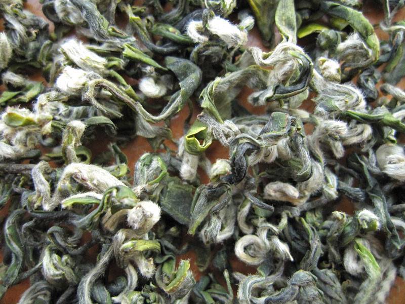 Бай мао хоу - чай белая обезьяна, элитный сорт китайского зелёного чая