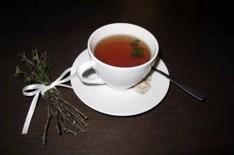 Чай из веточек вишни, польза и вред, как приготовить целебный чай