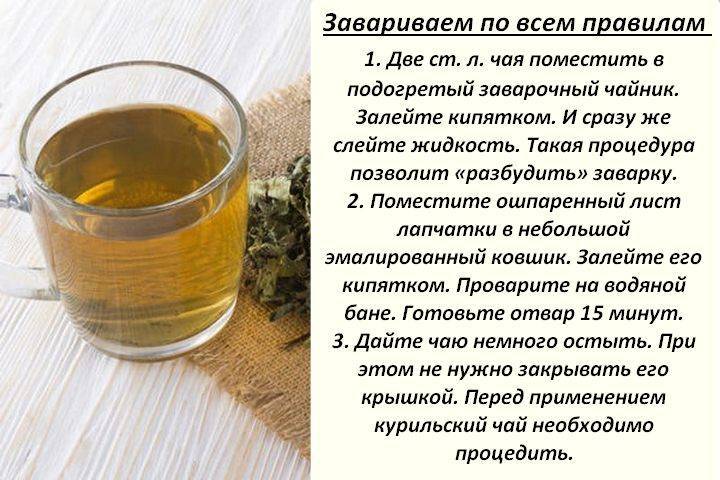 Монастырский чай — состав сбора, применение в народной медицине