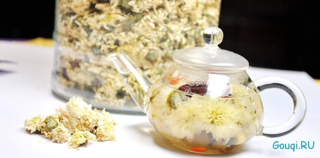 Чай из хризантемы польза и вред