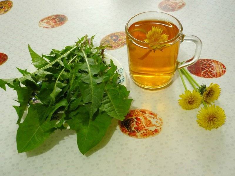 Чай из одуванчиков: чем он помогает и какие свойства имеет. применение чая из одуванчиков, польза и вред травяного напитка