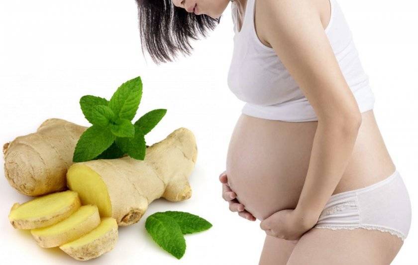 Разрешается ли использовать корень имбиря во время беременности?