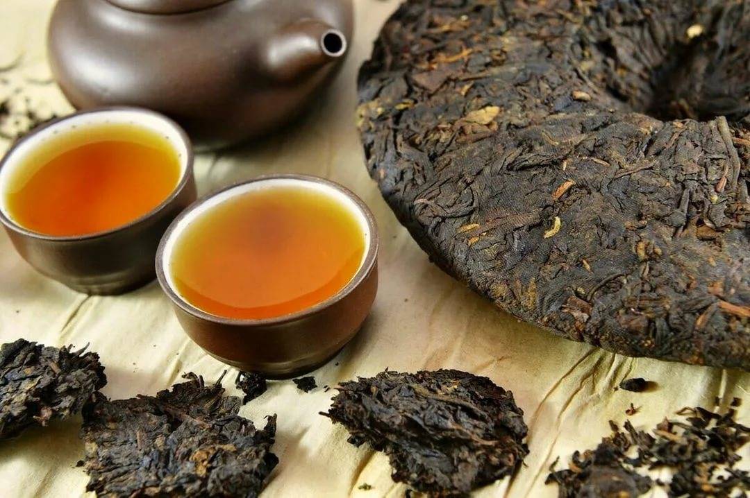 Чай пуэр: полезные свойства, противопоказания и вред
