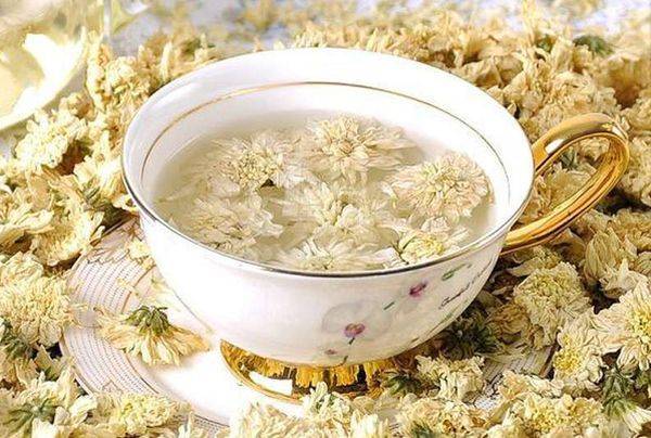 Чай из хризантемы: польза и вред, рецепты заваривания