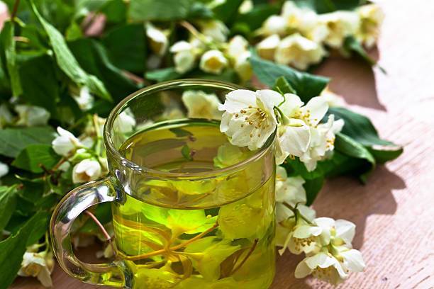 Чай из бархатцев: в чем польза и вред для организма, как приготовить и пить