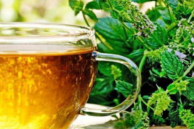 Чай из липы: польза и вред, свойства и противопоказания