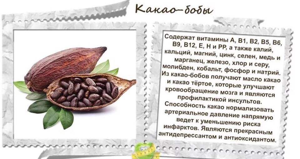 Все о какао: история, химический состав бобов, полезные свойства напитка