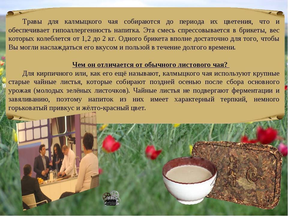 Калмыцкий чай: рецепты приготовления, история и виды джомбы