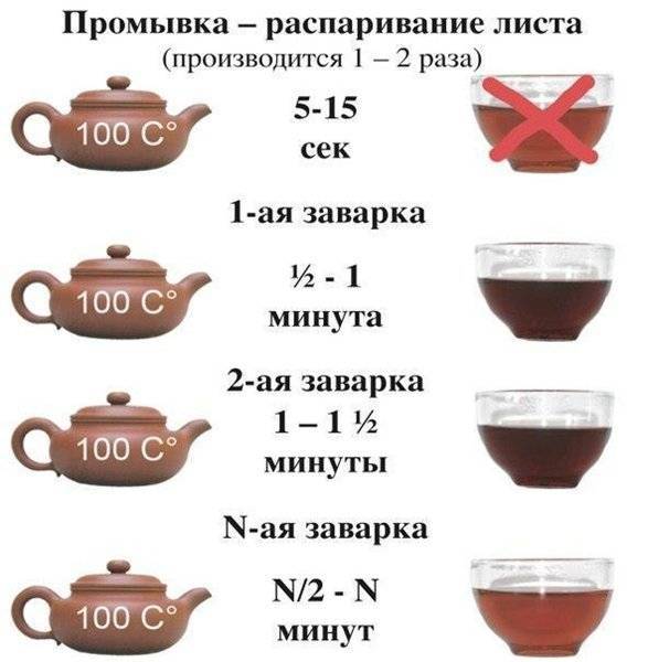 «большинство людей не умеют это делать»: эксперты – о том, как правильно выбирать и заваривать чай