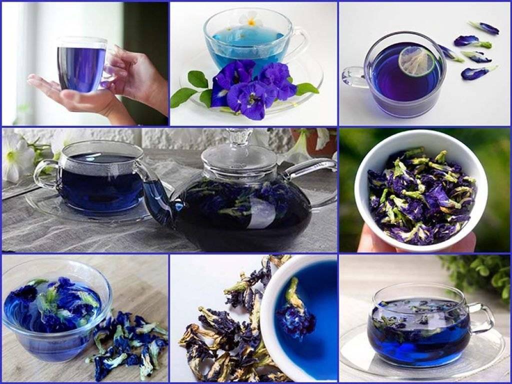 Пурпурный чай чанг-шу - реальные отзывы, купить в аптеке и цена