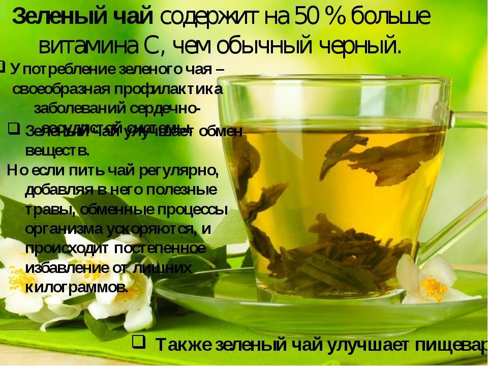 Чай из хризантемы, польза и вред для организма