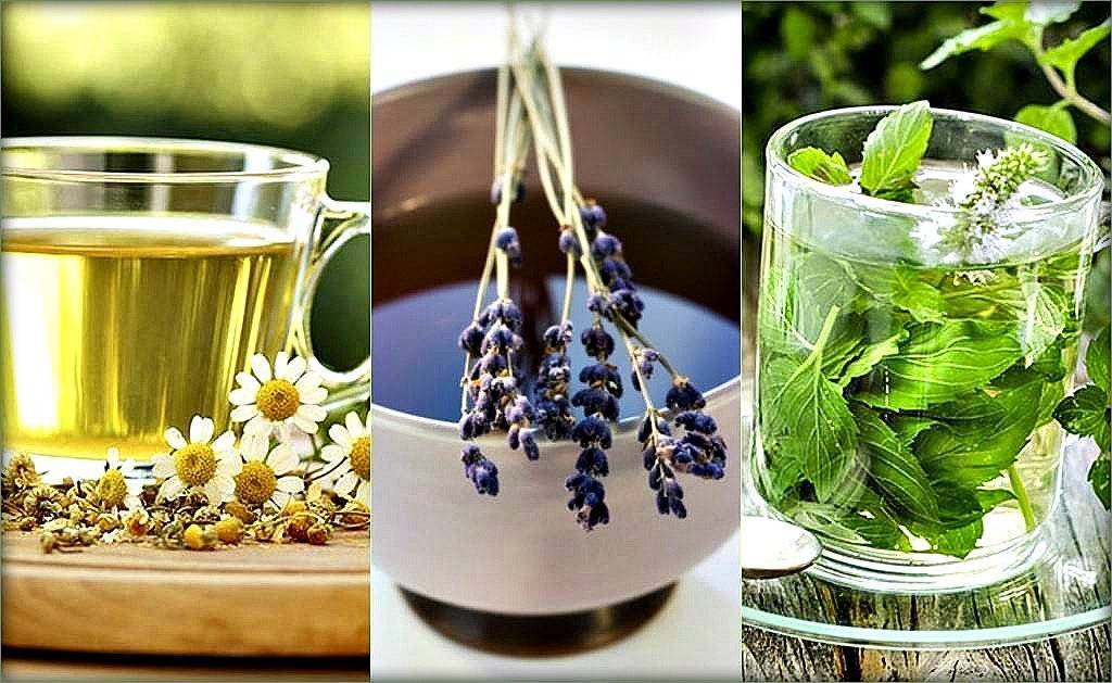 Чай с фенхелем - полезные свойства и рецепты применения