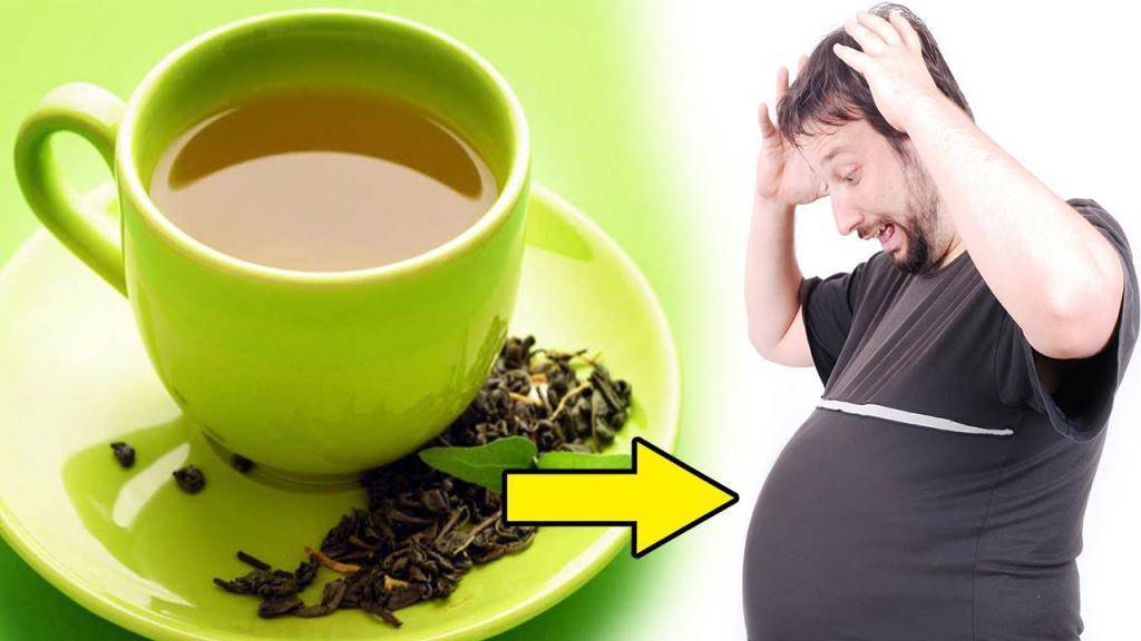 Чай с молоком - польза и вред, как правильно пить черный или зеленый для похудения