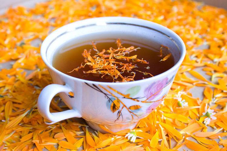 Чай из календулы: польза и вред | огородники