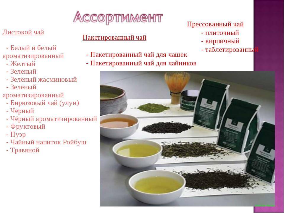 Виды чая - полный гид по сортам, классификациям и полезным свойствам