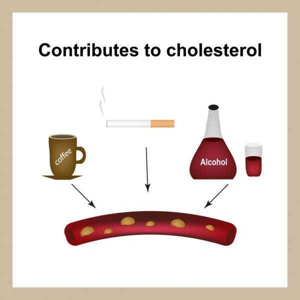 Диета и холестерин: продукты, которые помогут улучшить ваши показатели
